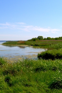 Baltic sea